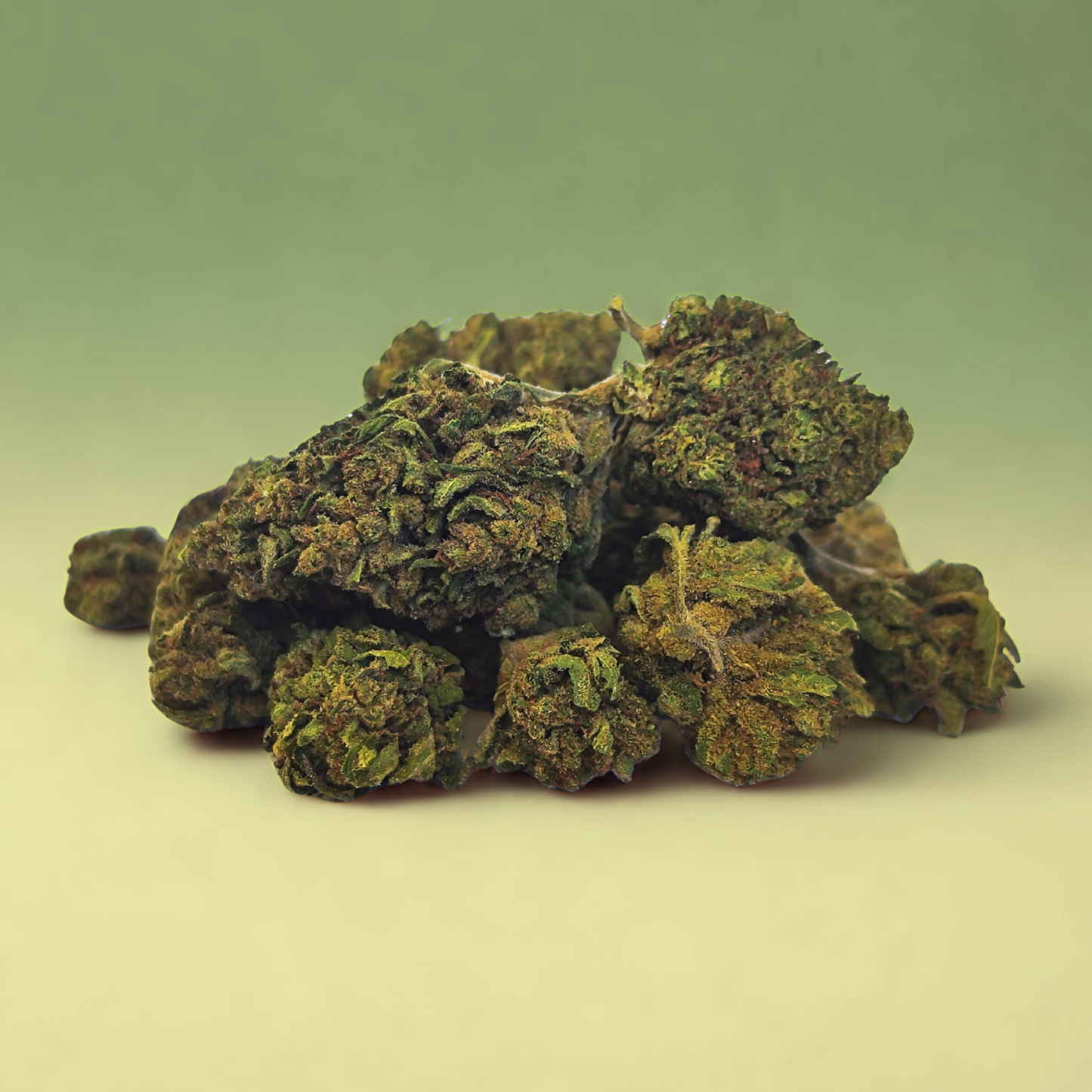 Gorilla Glue