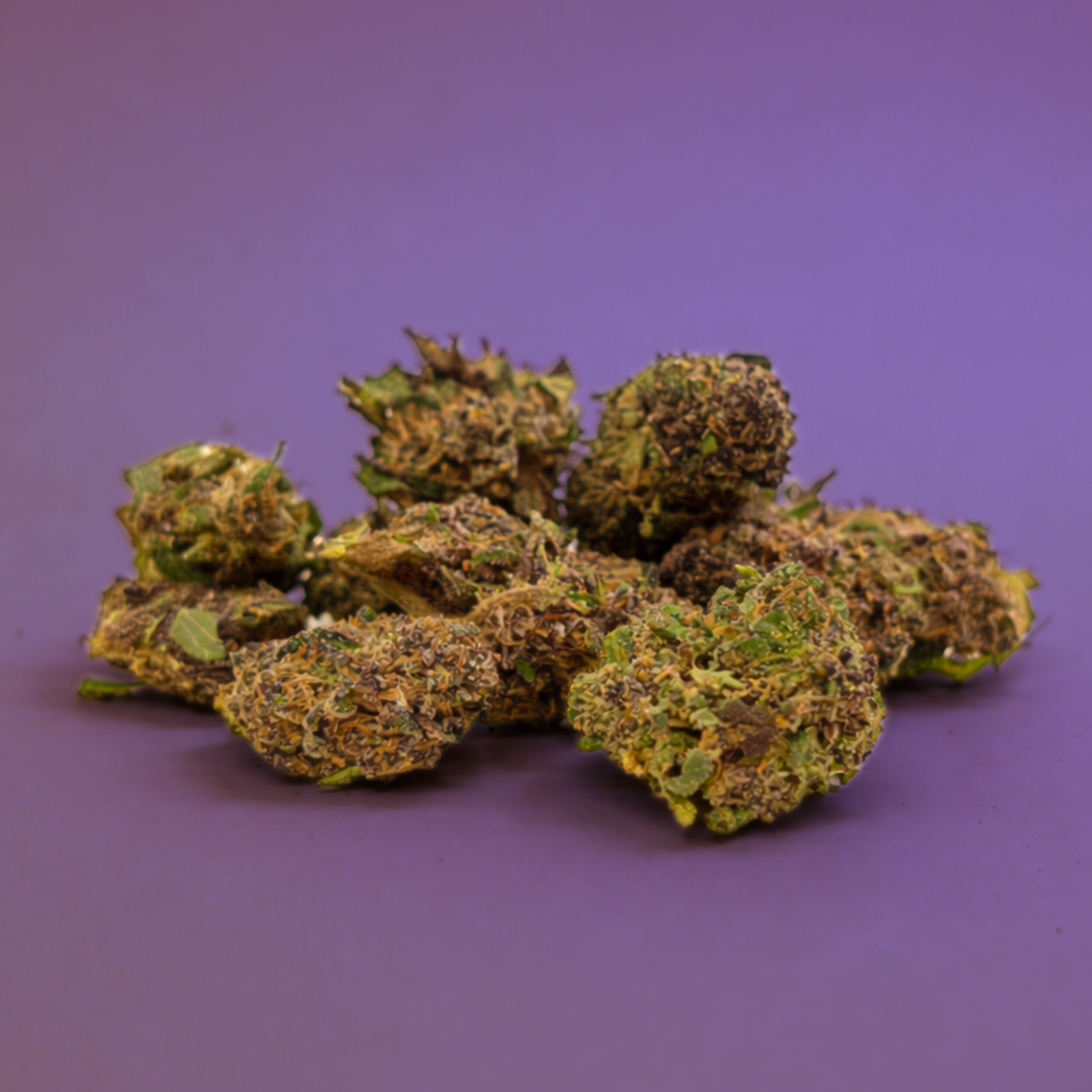 Purple Haze