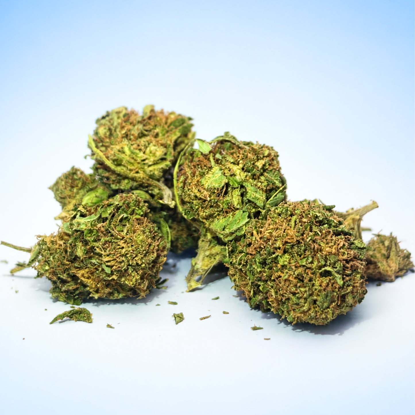 Silver Haze Bio&Ariègeoise