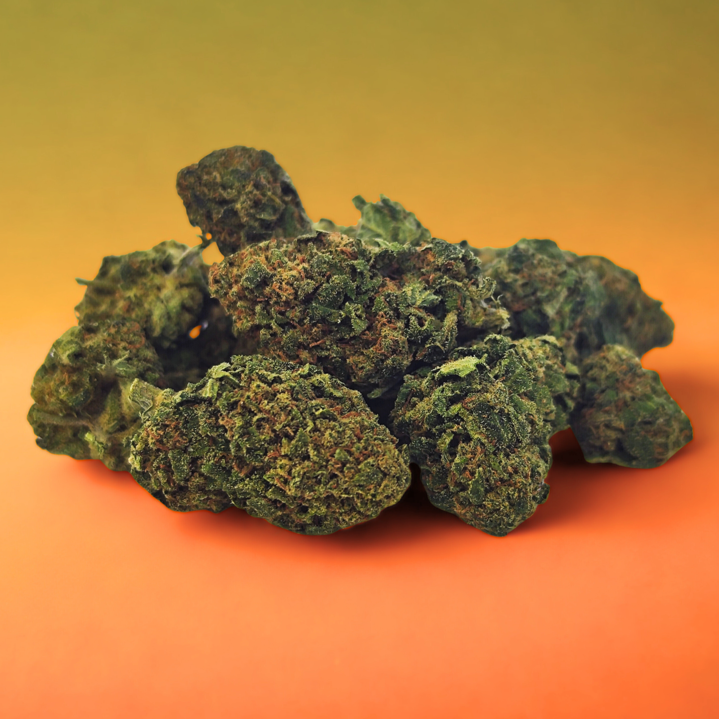 Tropical Haze