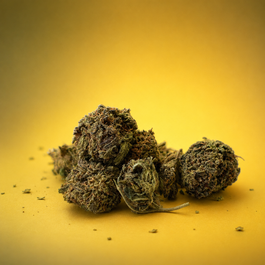 Skunk