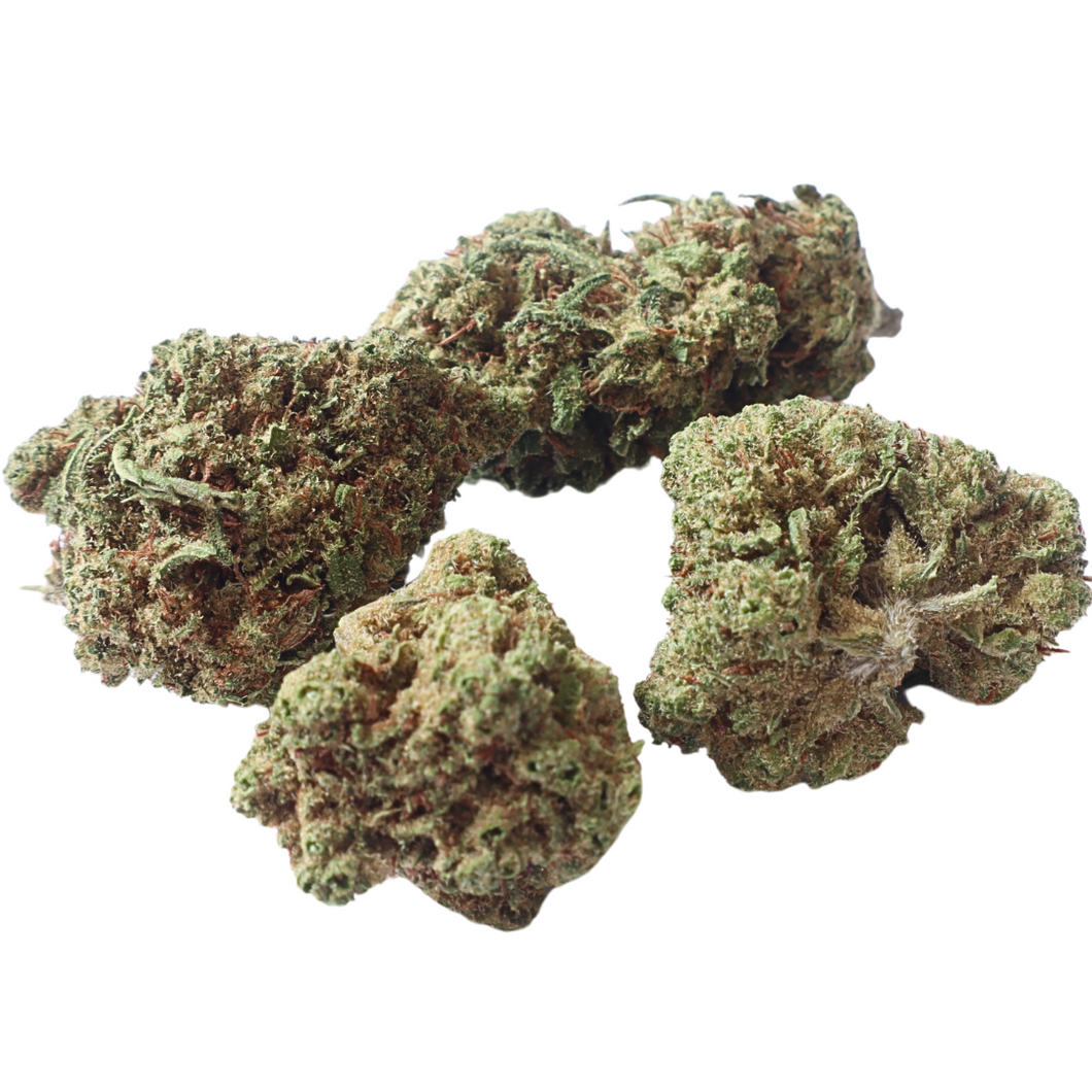 Hummer (Small Buds)
